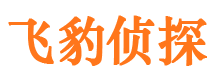 墨江侦探公司